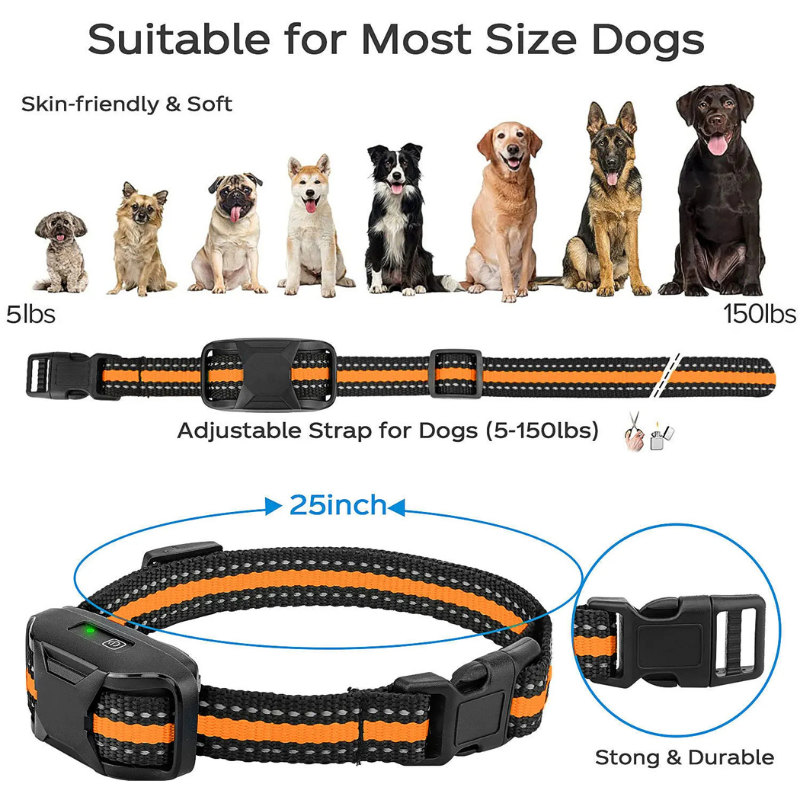 Dog Training Collar with Remote — Vibration & Tone Modes
