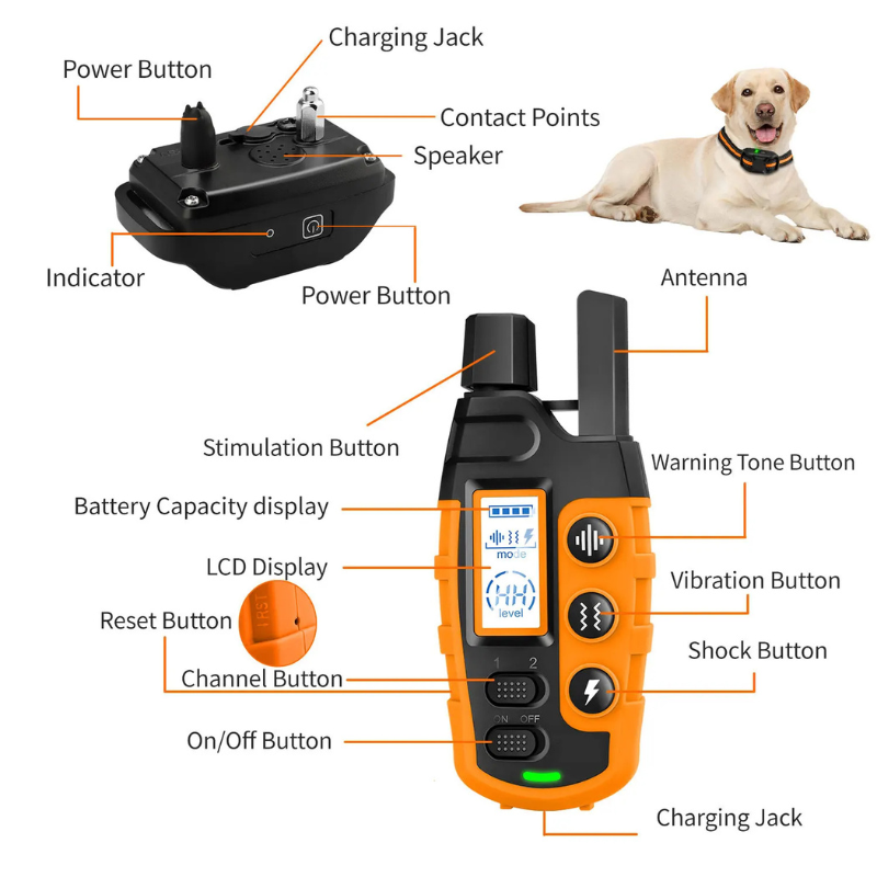 Dog Training Collar with Remote — Vibration & Tone Modes