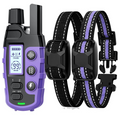 Dog Training Collar with Remote — Vibration & Tone Modes
