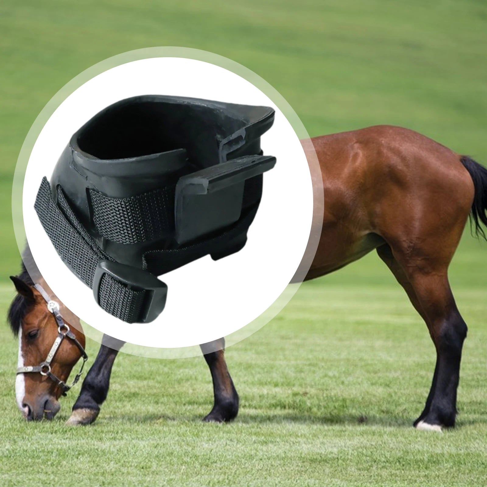 Horse Hoof Boots — Durable Protective Overreach Boots for Training & Riding