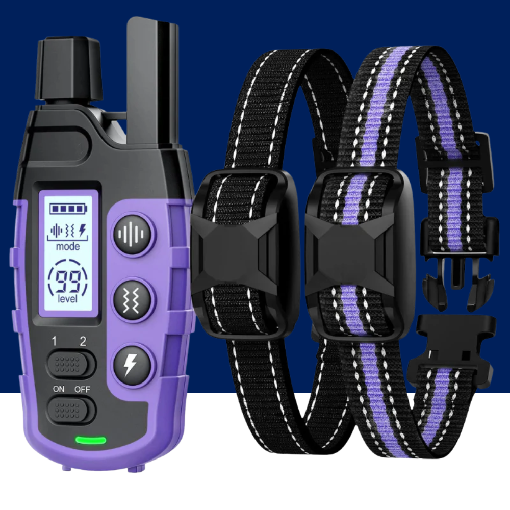 Dog Training Collar with Remote — Vibration & Tone Modes