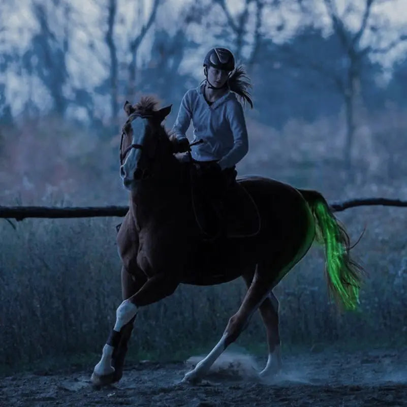 LED Horse Riding Tail Decoration — 100CM Luminous Tubes for Saddle & Halter
