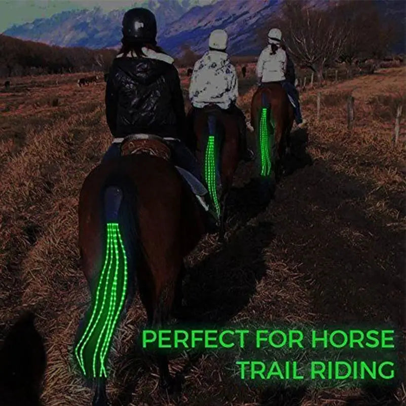 LED Horse Riding Tail Decoration — 100CM Luminous Tubes for Saddle & Halter