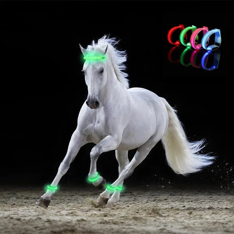 LED Horse Leg Safety Straps — 4-Pack Night Riding Visibility Bands