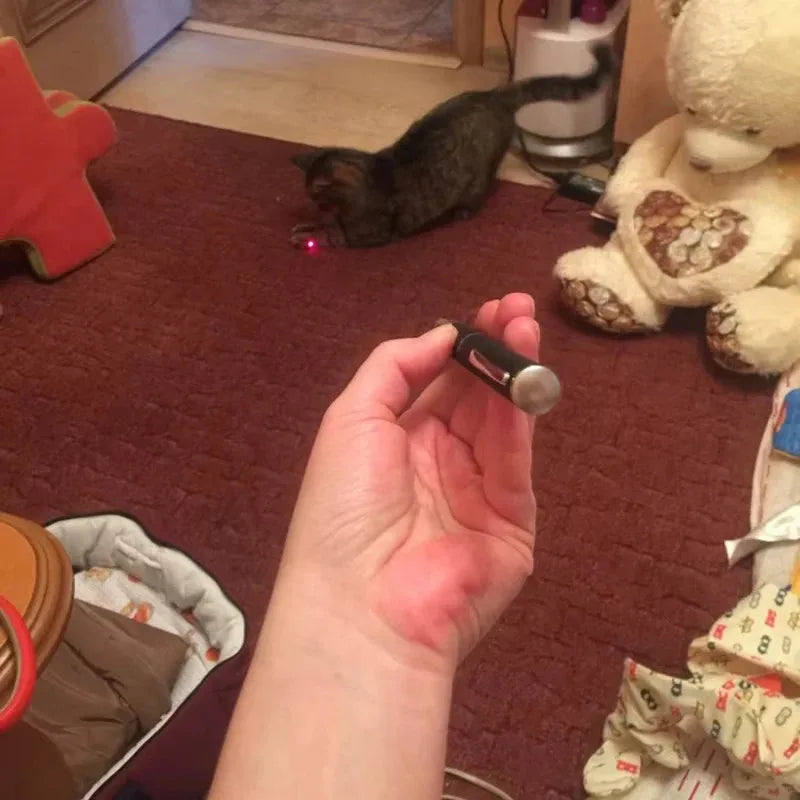 Pet Laser Pointer & LED Flashlight — Interactive Cat Scratching & Play Toy