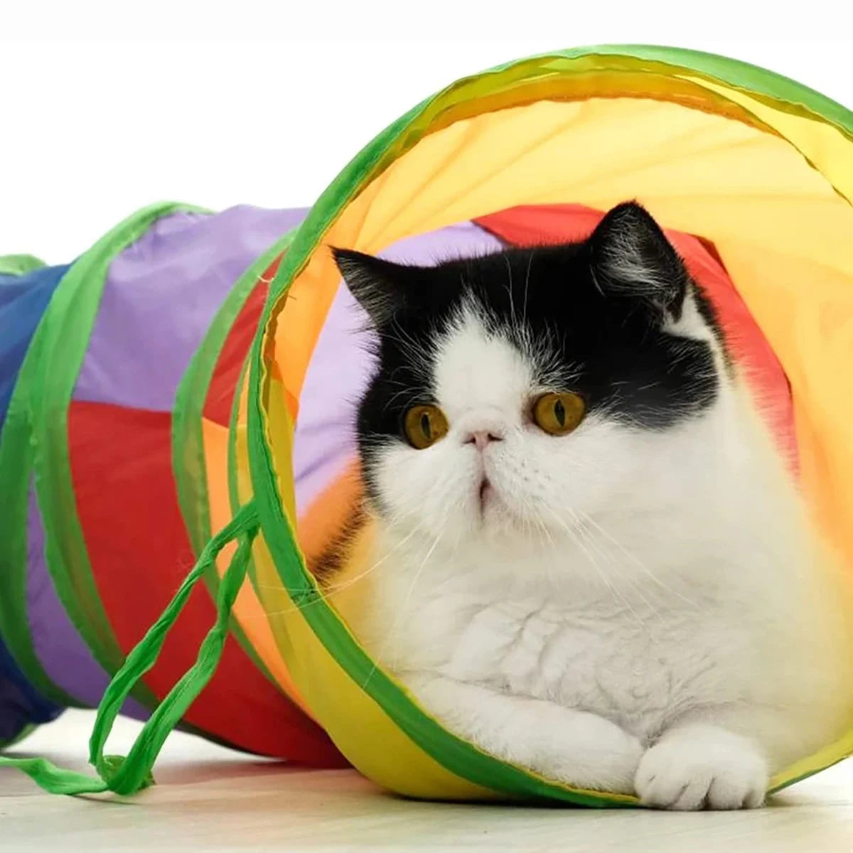 Foldable Cat Tunnel Tube — Interactive Training & Play Toy for Cats & Kittens