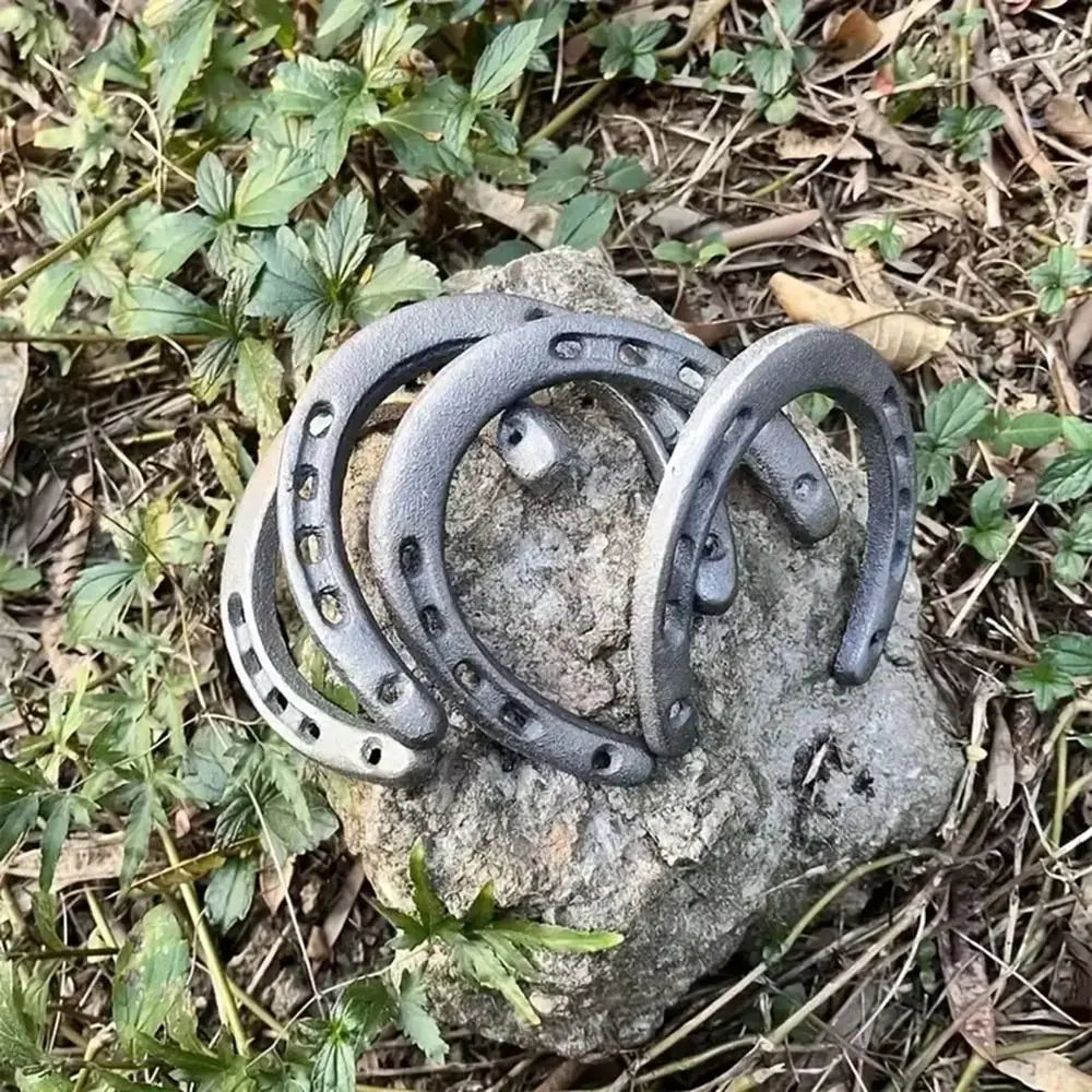 1Pcs Durable Cast Iron Horseshoe Decoration Unique Design Wall Hanging Home Ornament Vintage Rustic Style Wall Sculpture