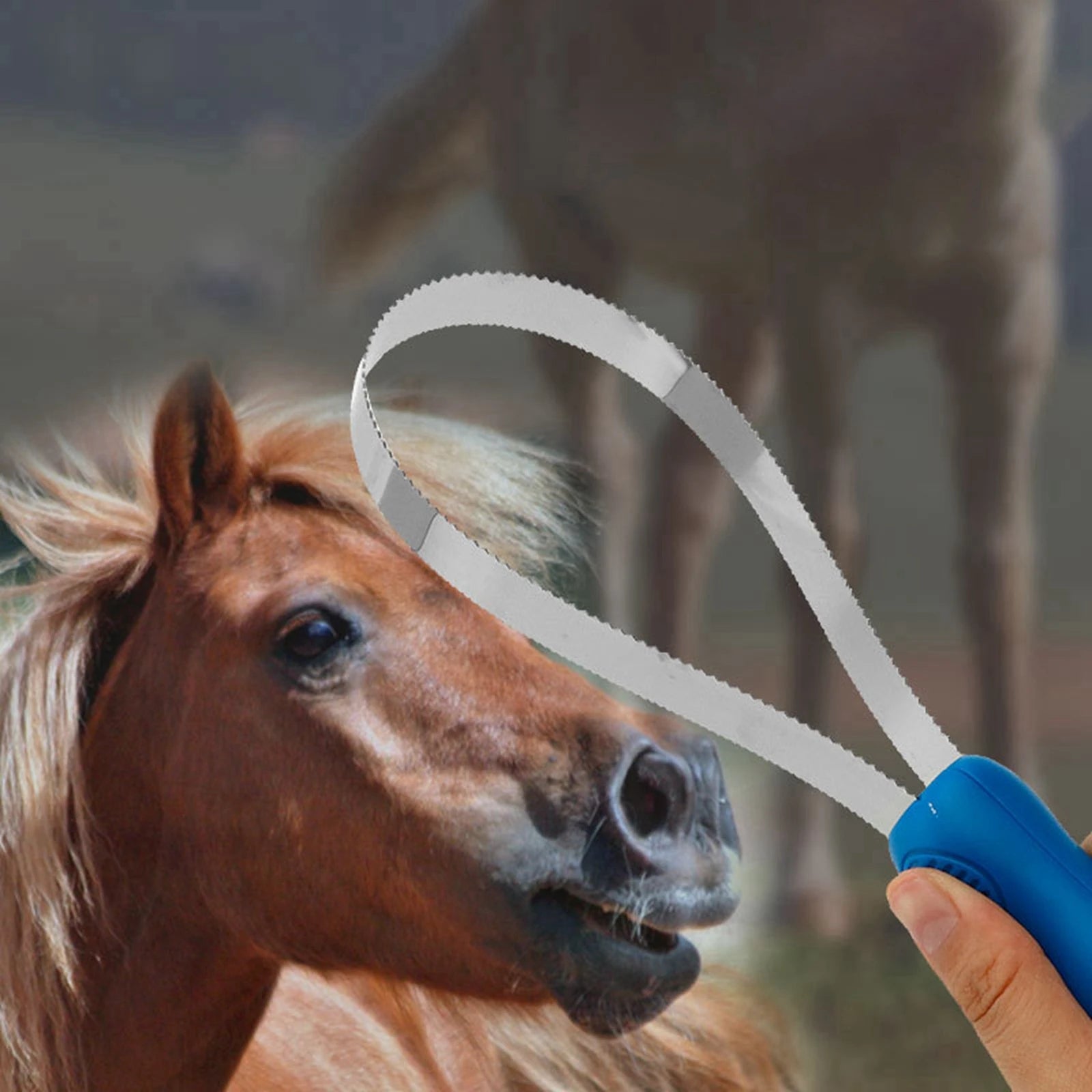 Horse Grooming Curry Comb & Sweat Scraper — Nonslip Equestrian Brush for Horses & Cattle