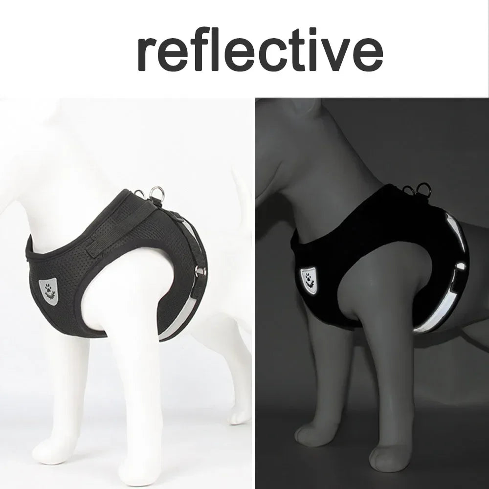 Cat Harness & Leash Set — Reflective, Escape-Proof Mesh Vest for Cats & Small Dogs
