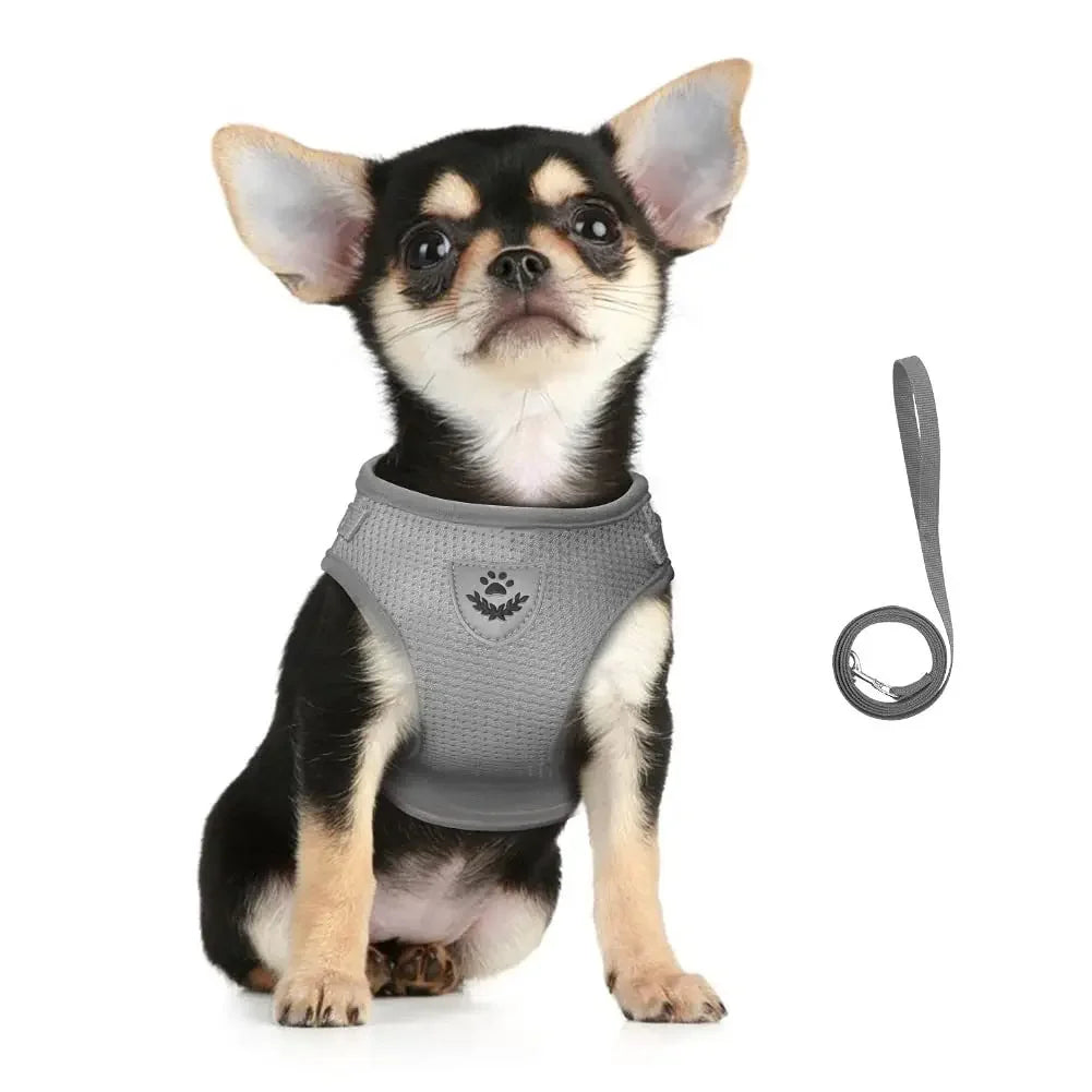 Cat Harness & Leash Set — Reflective, Escape-Proof Mesh Vest for Cats & Small Dogs
