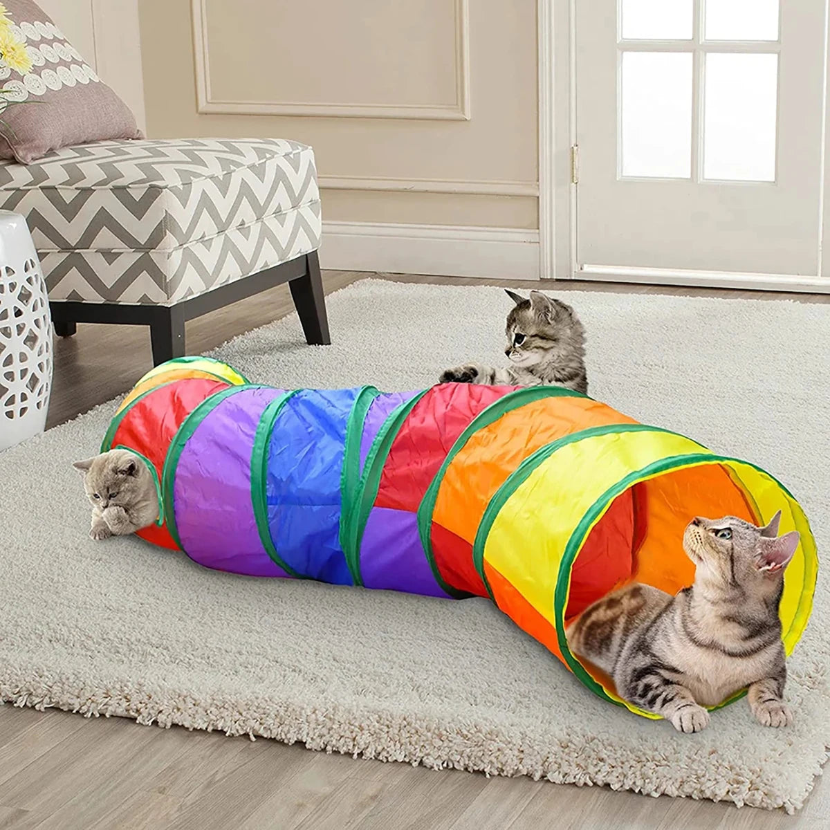 Foldable Cat Tunnel Tube — Interactive Training & Play Toy for Cats & Kittens