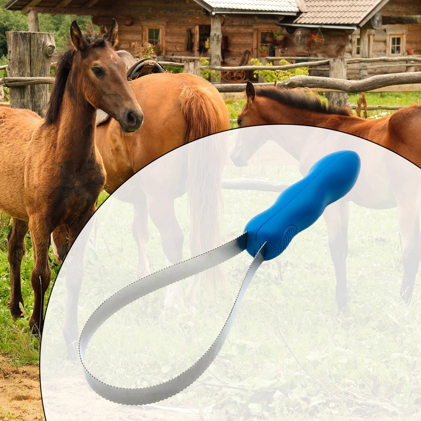 Horse Grooming Curry Comb & Sweat Scraper — Nonslip Equestrian Brush for Horses & Cattle