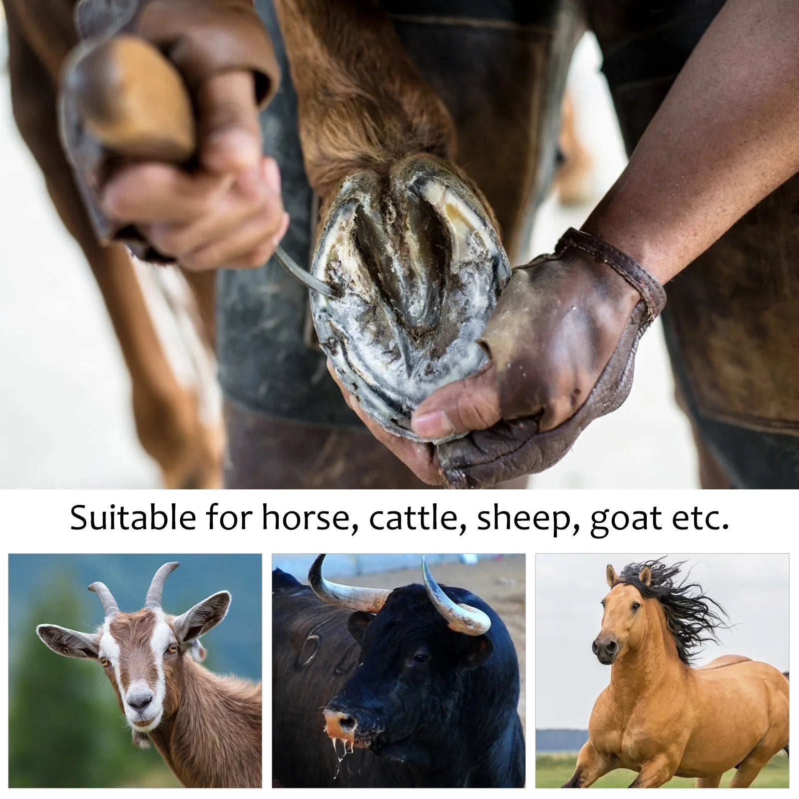1PC Hoof Stainless Steel Brush Handle Horse Grooming Tools Cleaning Anti Rust Practical Horse Hoof