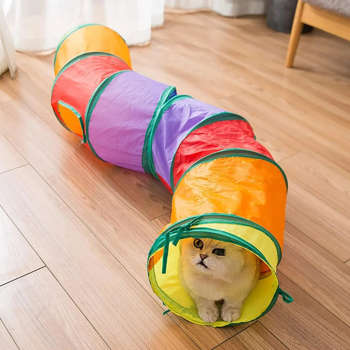 Foldable Cat Tunnel Tube — Interactive Training & Play Toy for Cats & Kittens