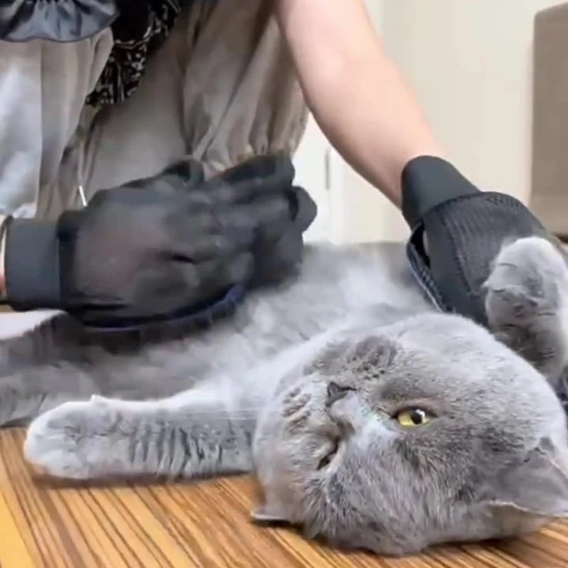 Silicone Pet Grooming Gloves — Hair Removal Brush for Cats & Dogs