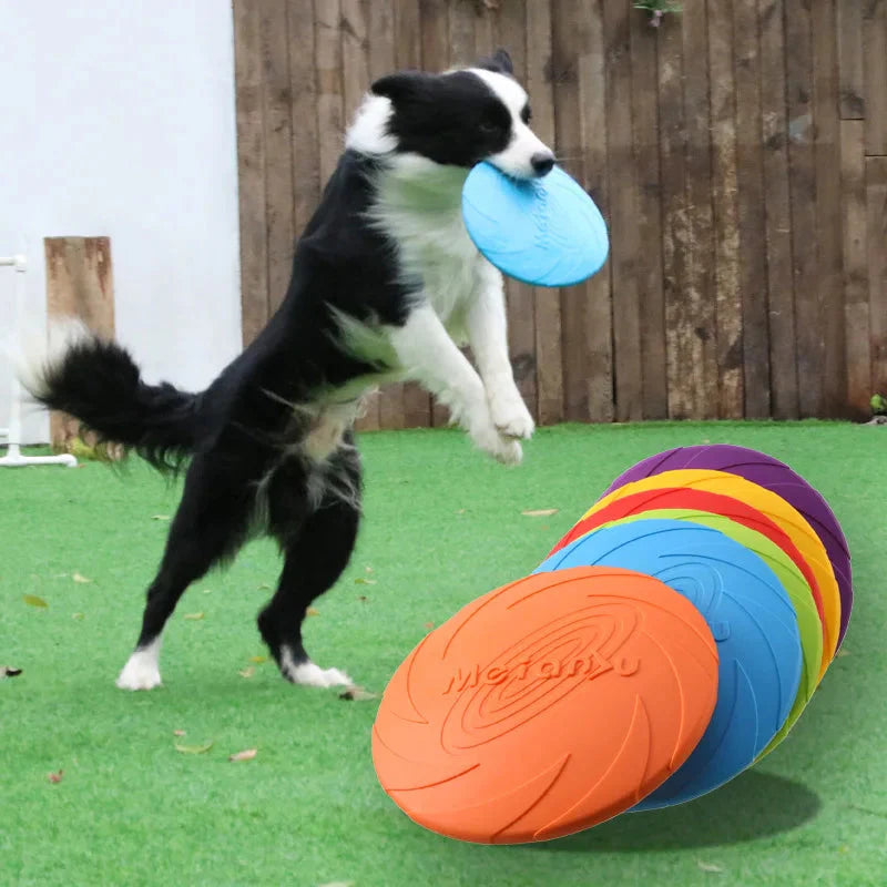 Bite-Resistant Dog Flying Disc — Durable Frisbee for Outdoor Play & Training