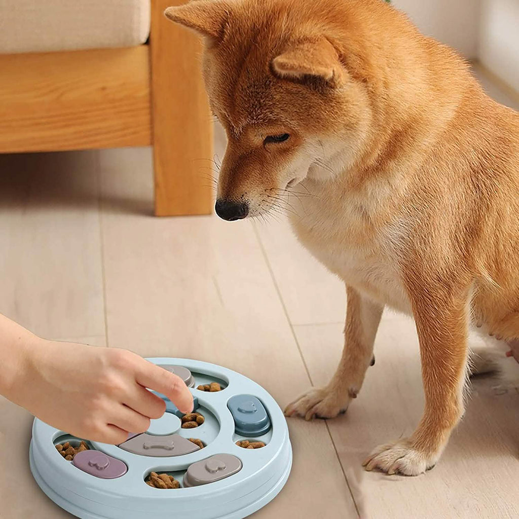 Dog Food Puzzle Feeder Toy — IQ Training & Mental Enrichment