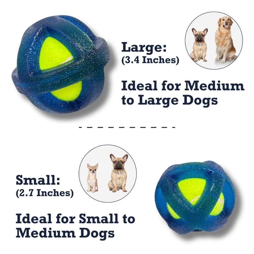 TPR-Coated Agility Tennis Ball Dog Toy — Durable & Pet-Safe