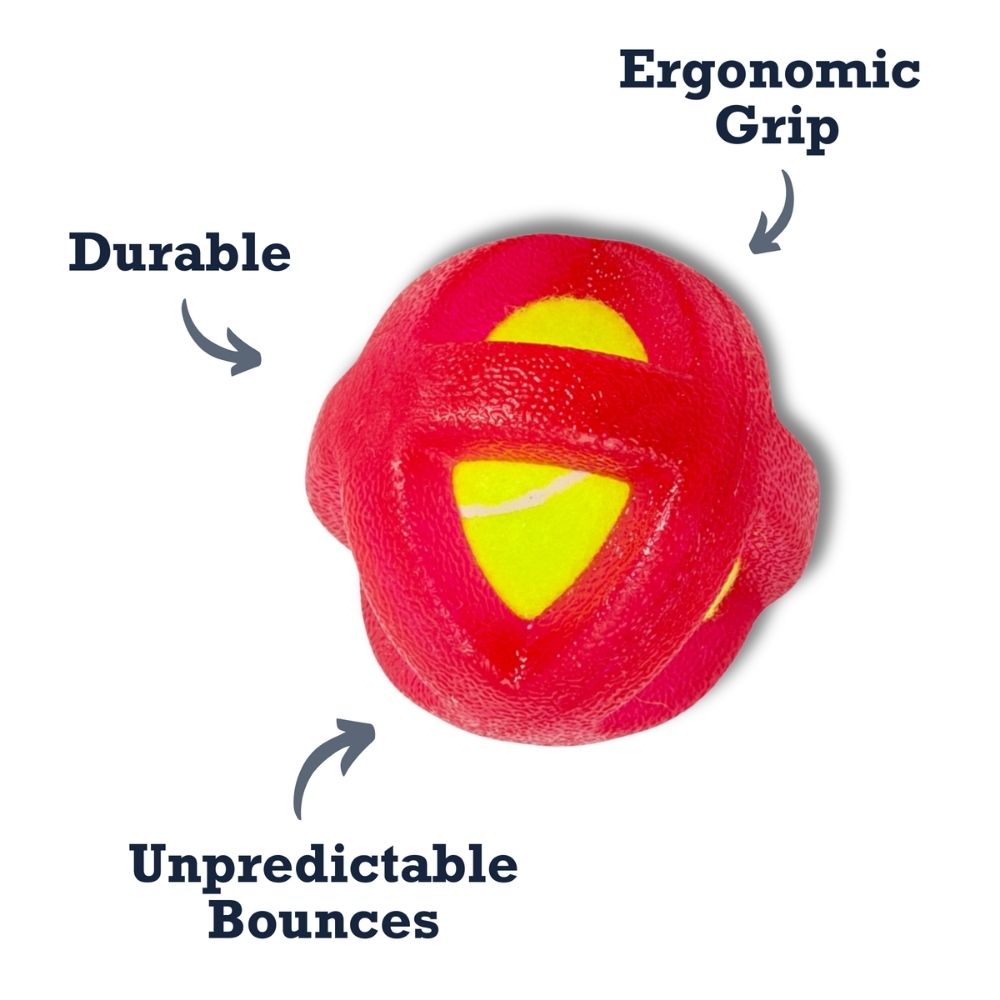 TPR-Coated Agility Tennis Ball Dog Toy — Durable & Pet-Safe