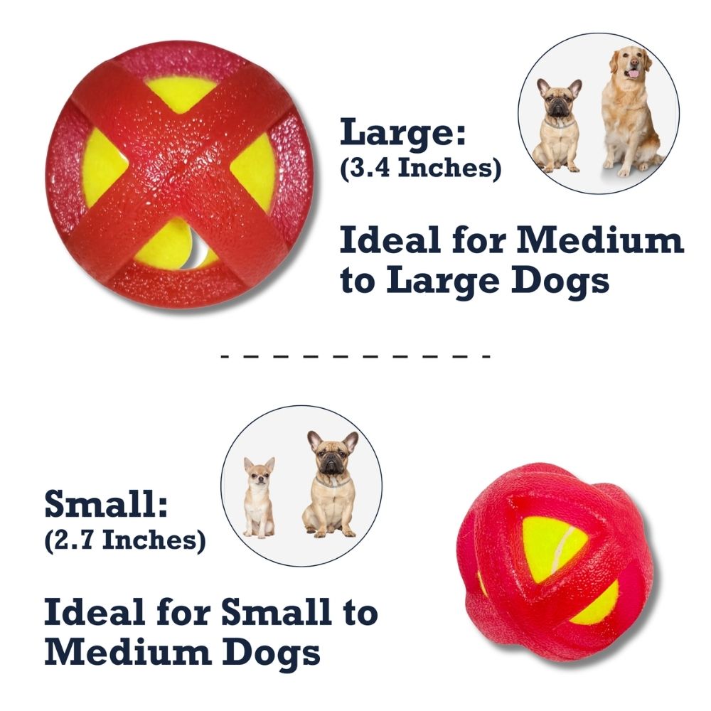 TPR-Coated Agility Tennis Ball Dog Toy — Durable & Pet-Safe